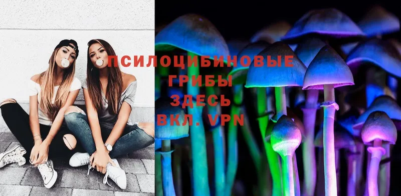 Псилоцибиновые грибы Psilocybine cubensis  Покров 